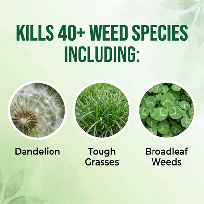 🔥Advanced 2-in-1 Pro+ Herbicide | Upgraded Formula for 6-Hour Rapid Kill, Root Eradication & Destroys Glyphosate-Resistant Weeds